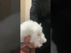 Производственные центры