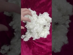 Штапельное волокно полиэстера